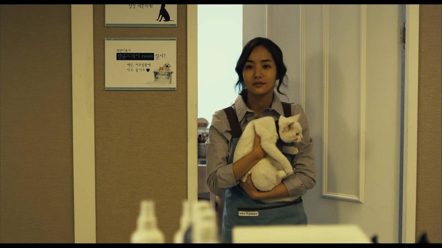 The Cat